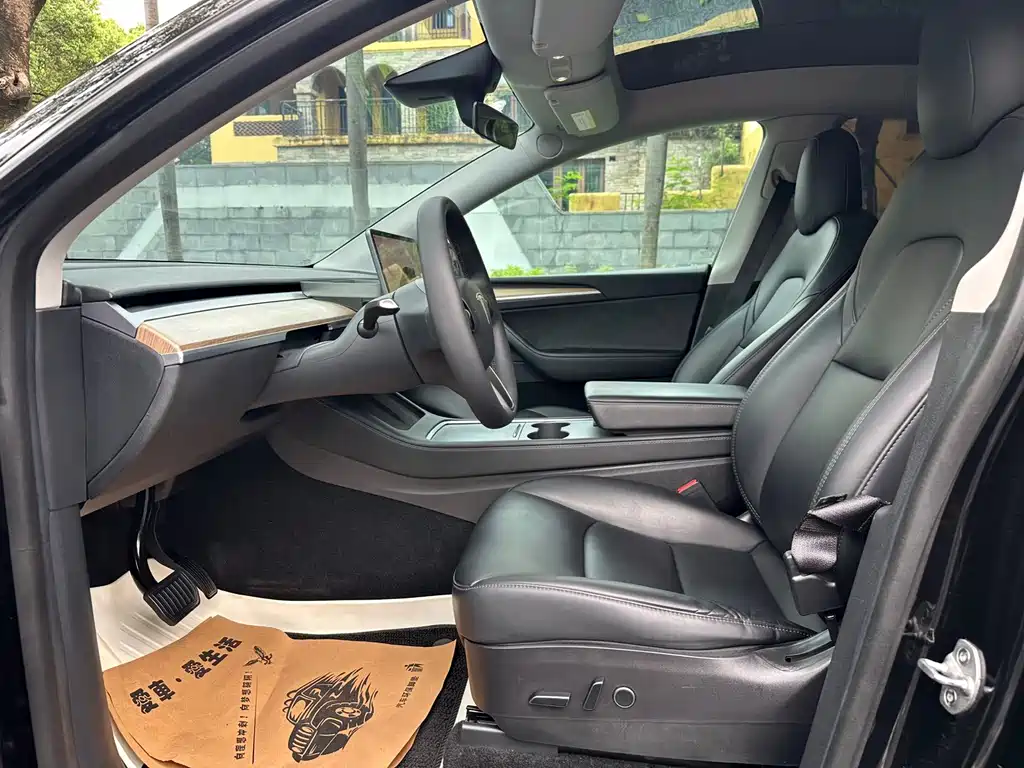 Tesla Model Y — миниатюра 6