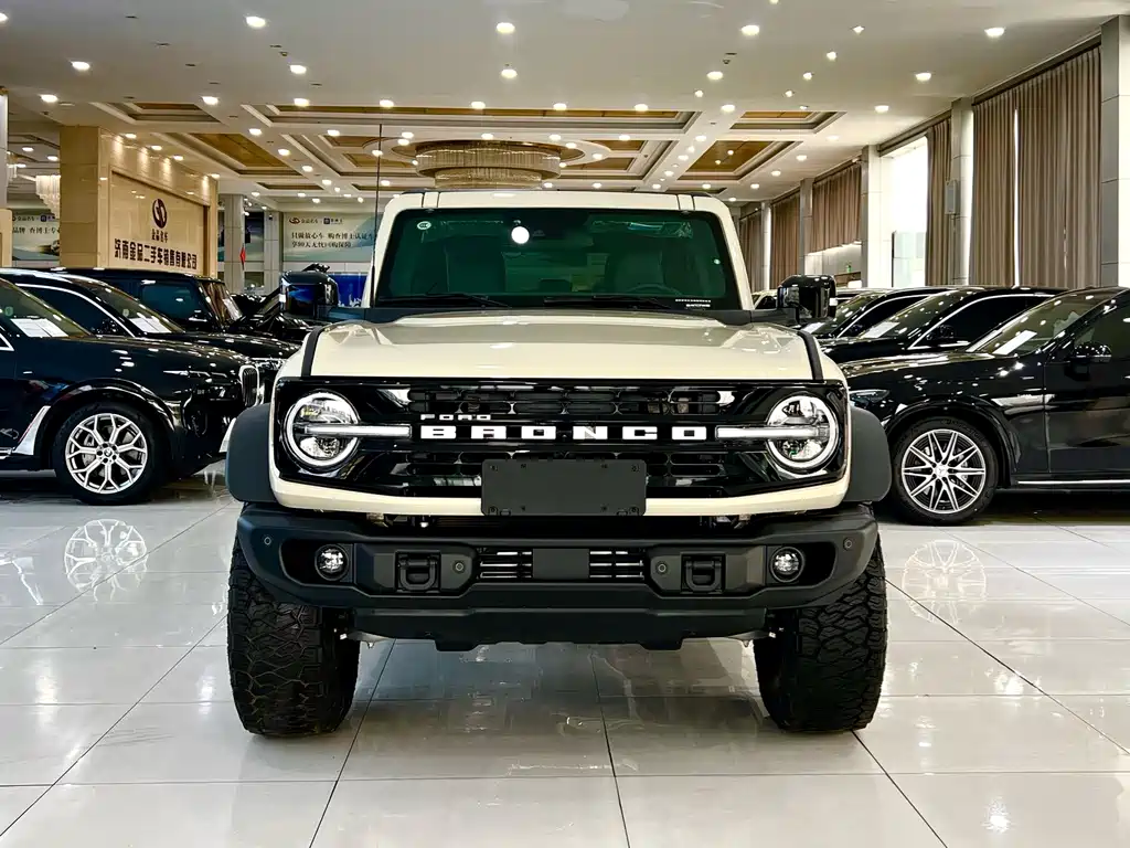 Ford Bronco — миниатюра 3