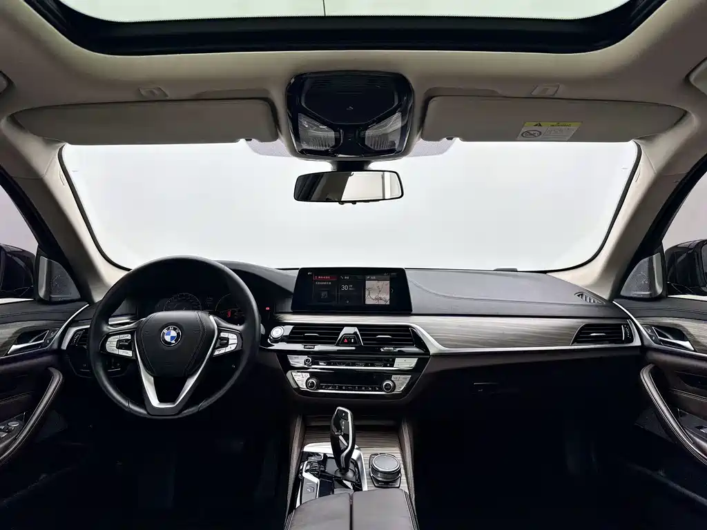 BMW 5 Series 5 2019 530Le