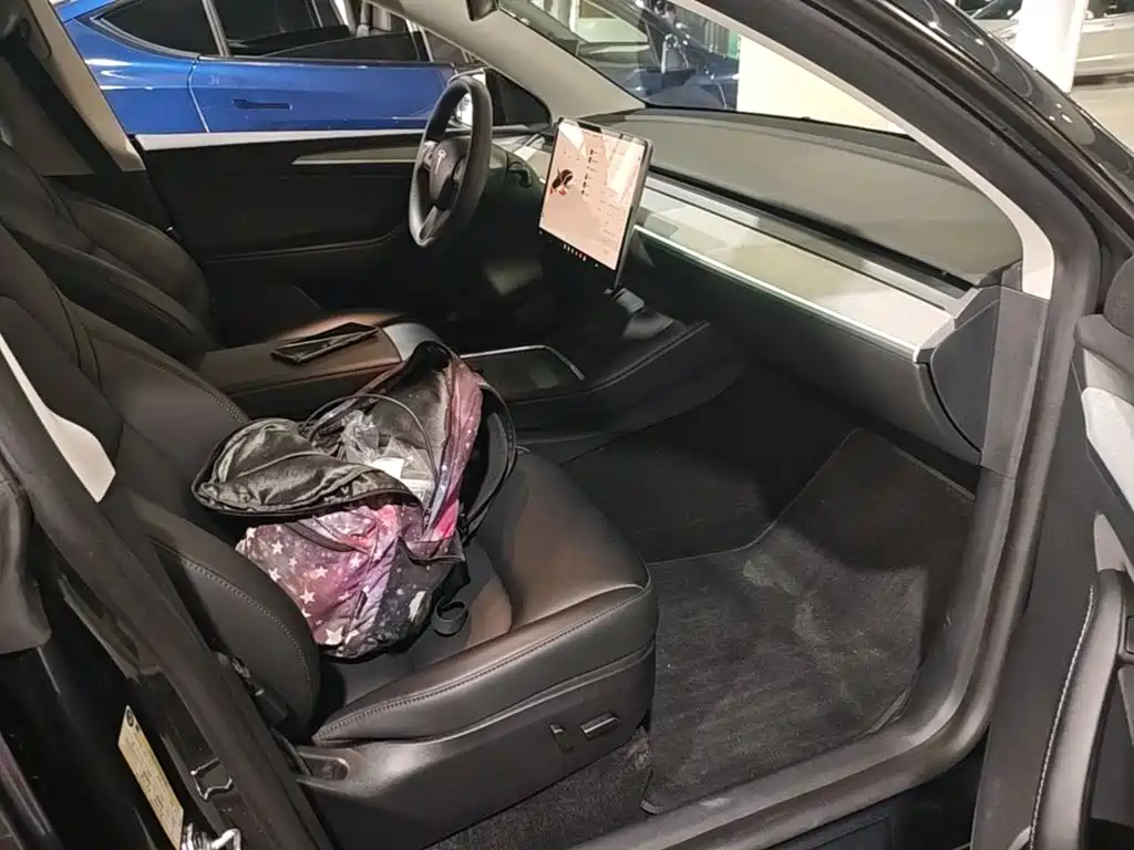 Tesla Model Y — миниатюра 25