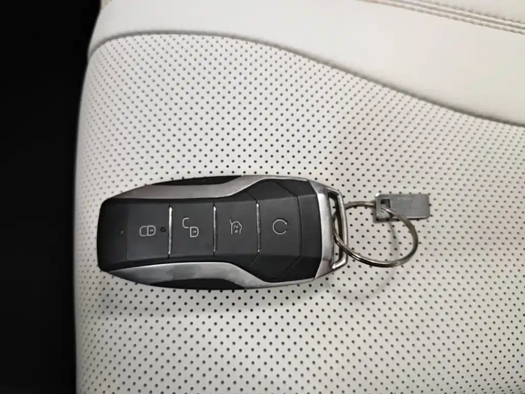 BYD PLUS New Energy — миниатюра 9