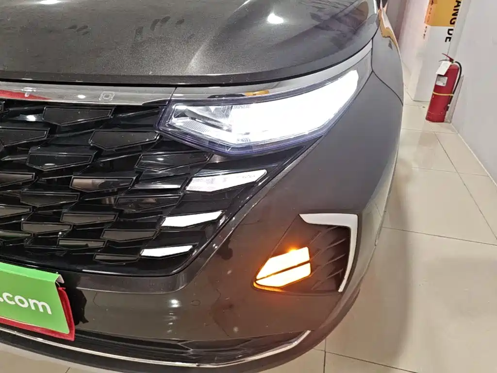 Hyundai Custo — миниатюра 24