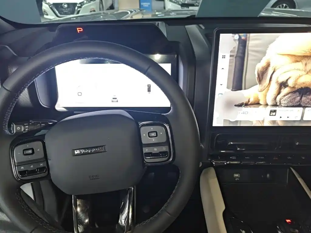 Haval Menglong New Energy — миниатюра 10