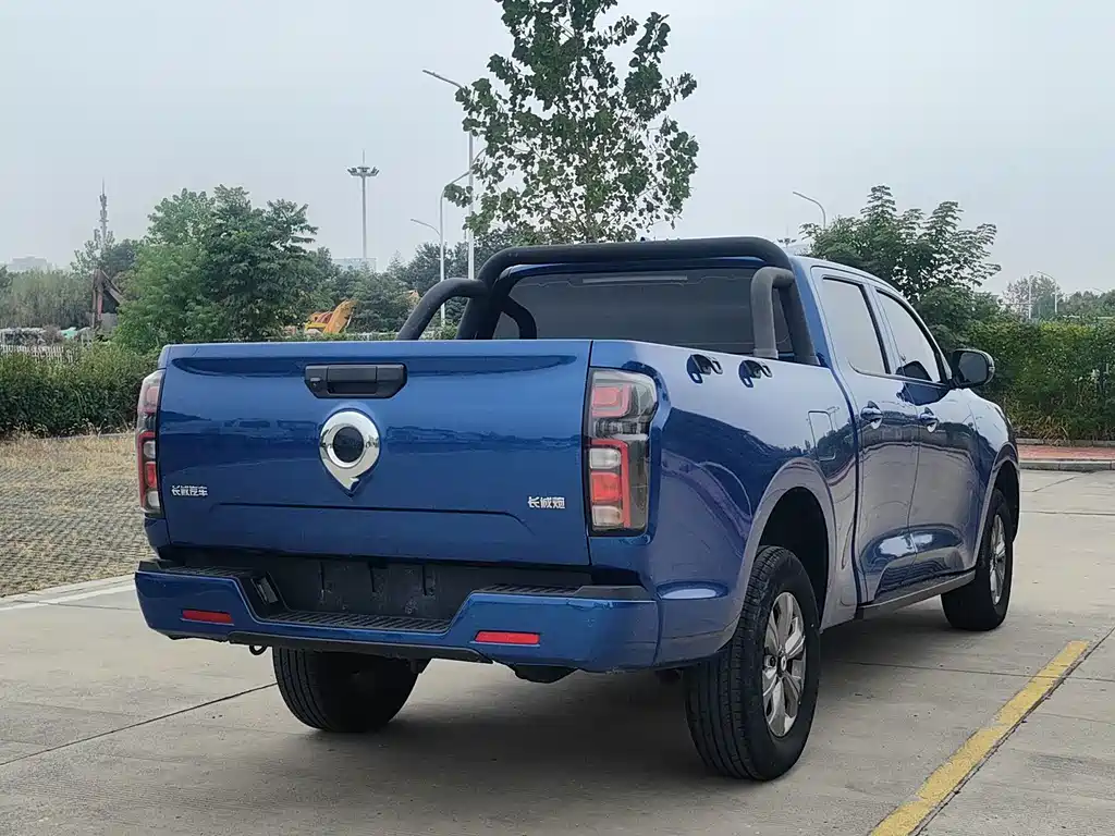 Great Wall Pao — миниатюра 4