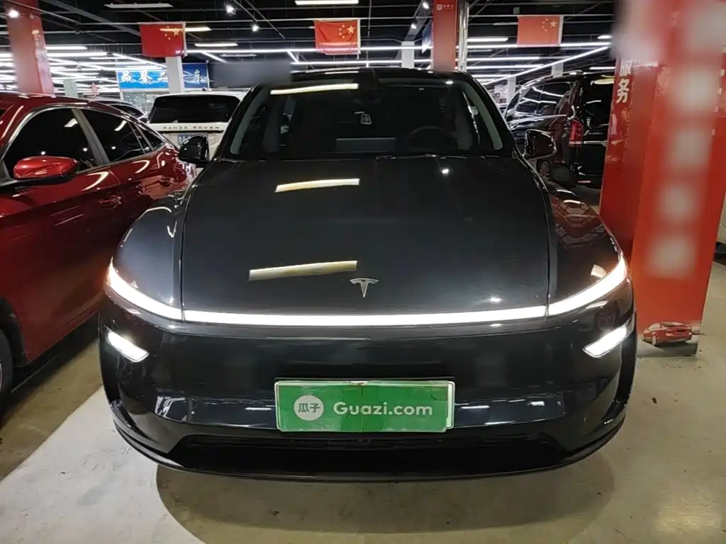 Tesla Model Y — миниатюра 3