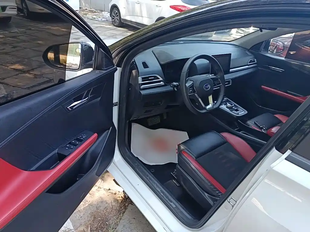 BYD e2 — миниатюра 16