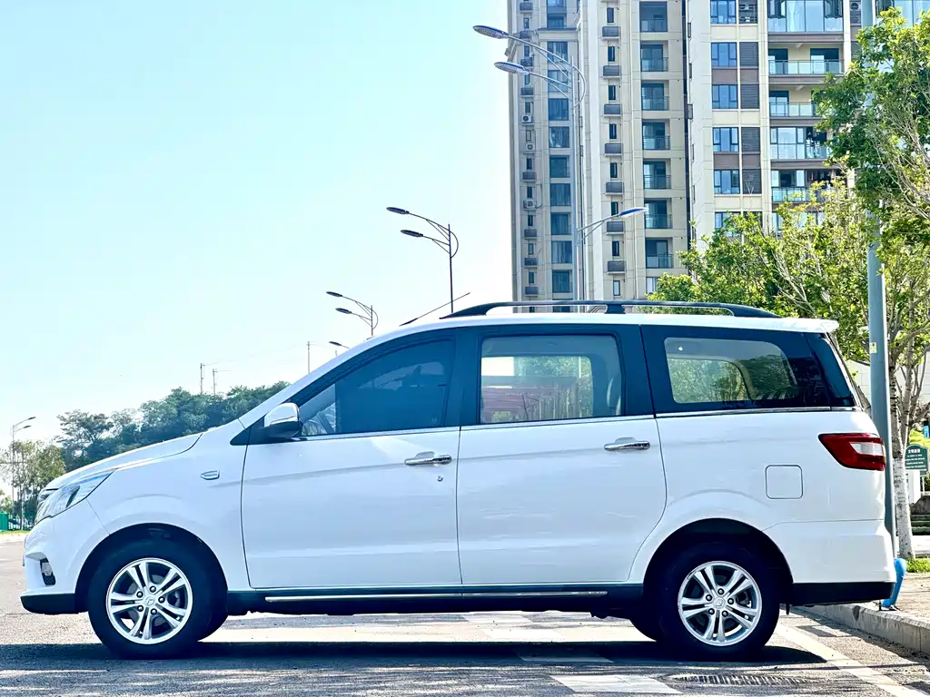 Huasu Huansu H2 — миниатюра 7