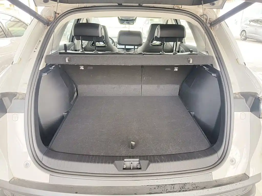 BYD Sealion 05 DM-i — миниатюра 19