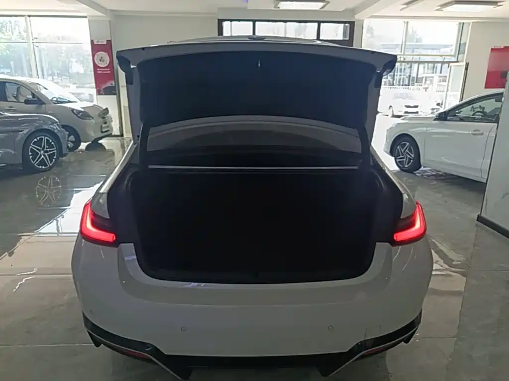 BMW i3 — миниатюра 19