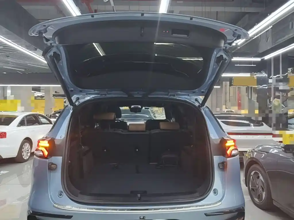 BYD Tang New Energy — миниатюра 19
