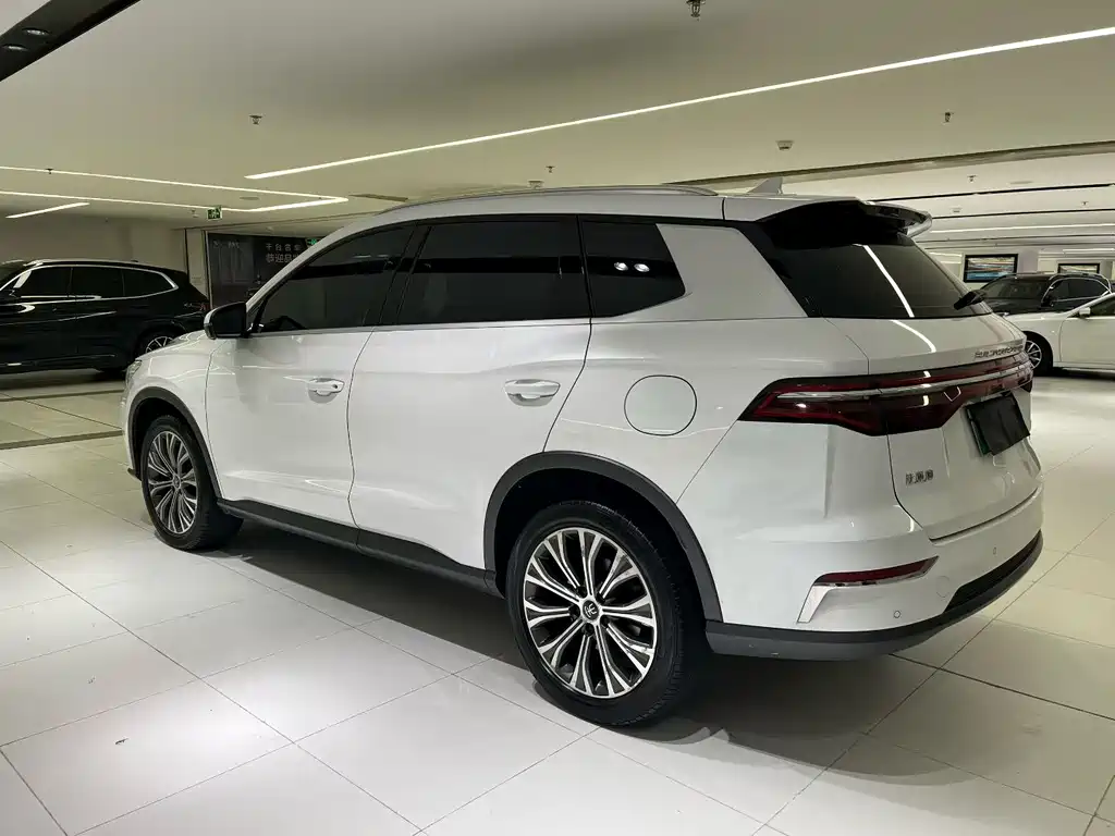 BYD Pro New Energy — миниатюра 4