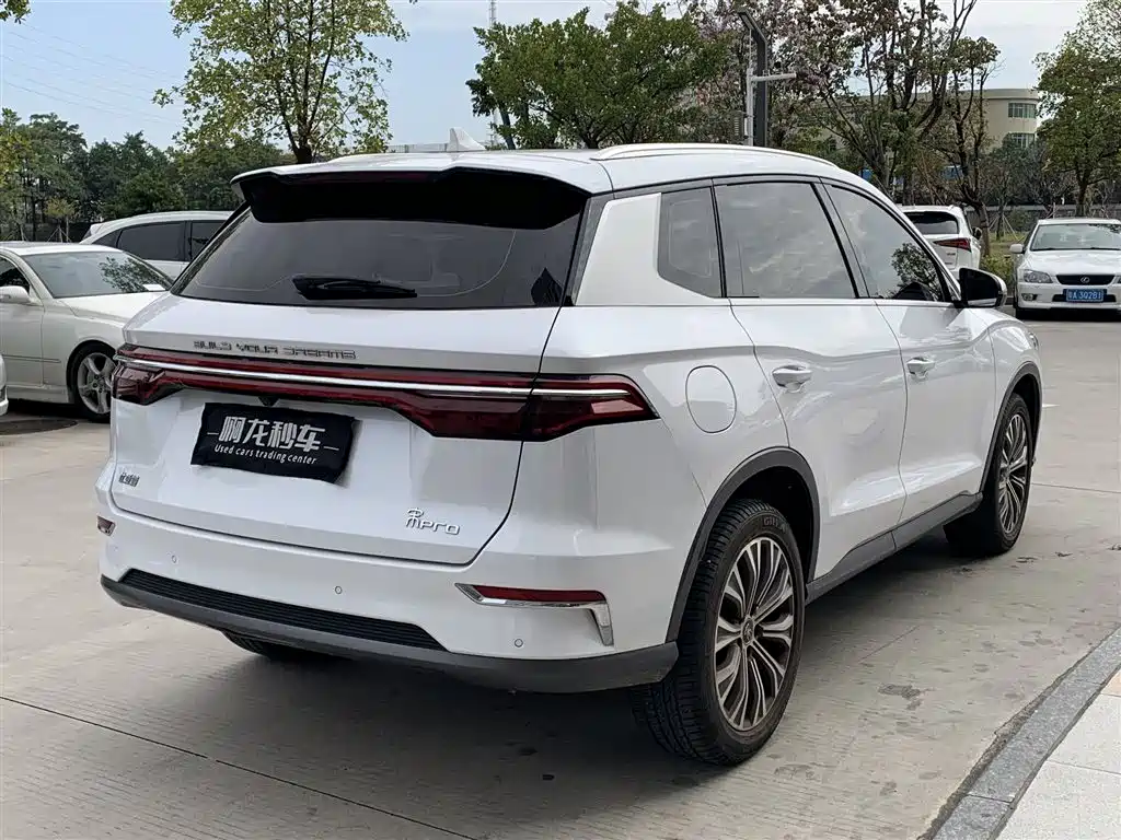 BYD SONGJIANG NEW ENERGY