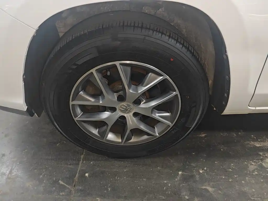 BYD Song — миниатюра 23