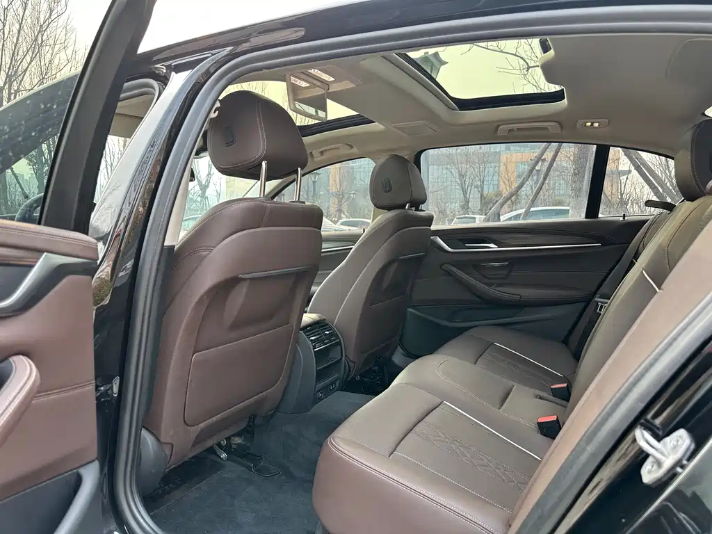 BMW 5 Series 5 2021 530Li Lead Luxury