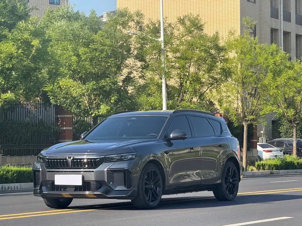 Voyah FREE 2025 318 318km RWD Ring Tour Edition