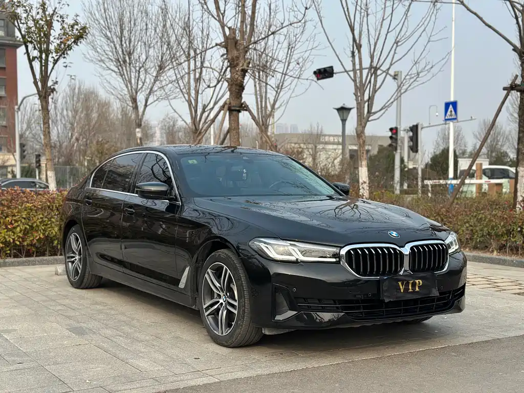 BMW 5 Series 5 2021 530Li Lead Luxury
