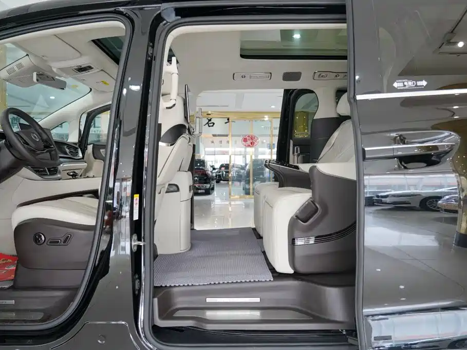 Denza Denza D9 — миниатюра 6