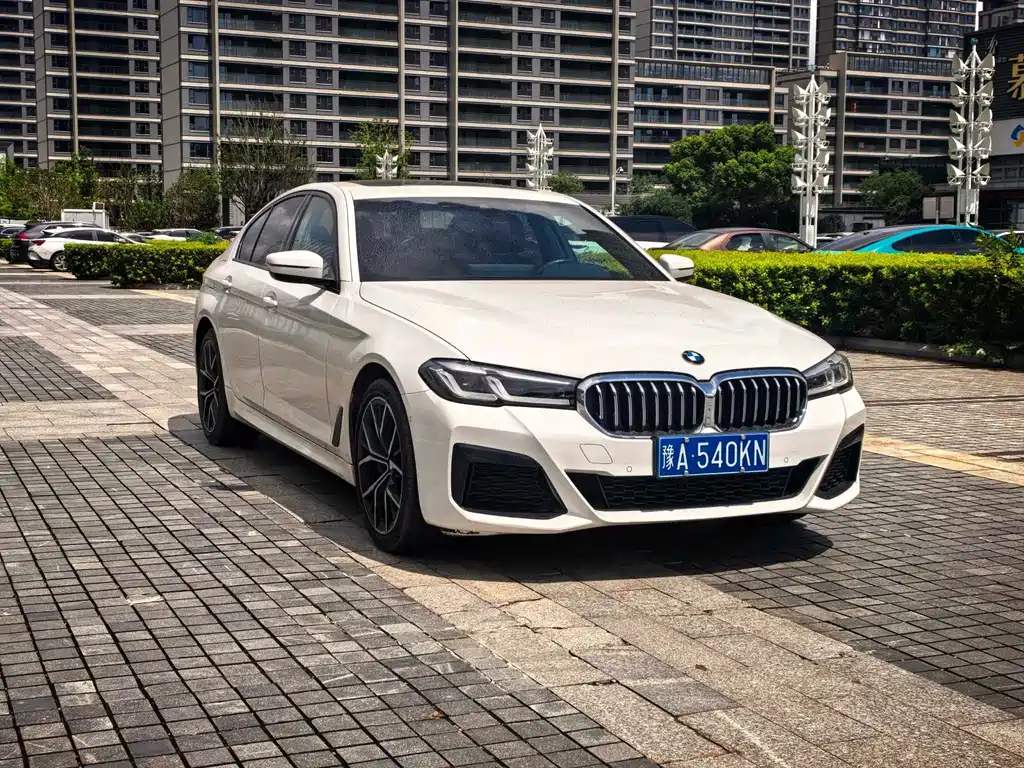 BMW 5 Series (Import) — миниатюра 3