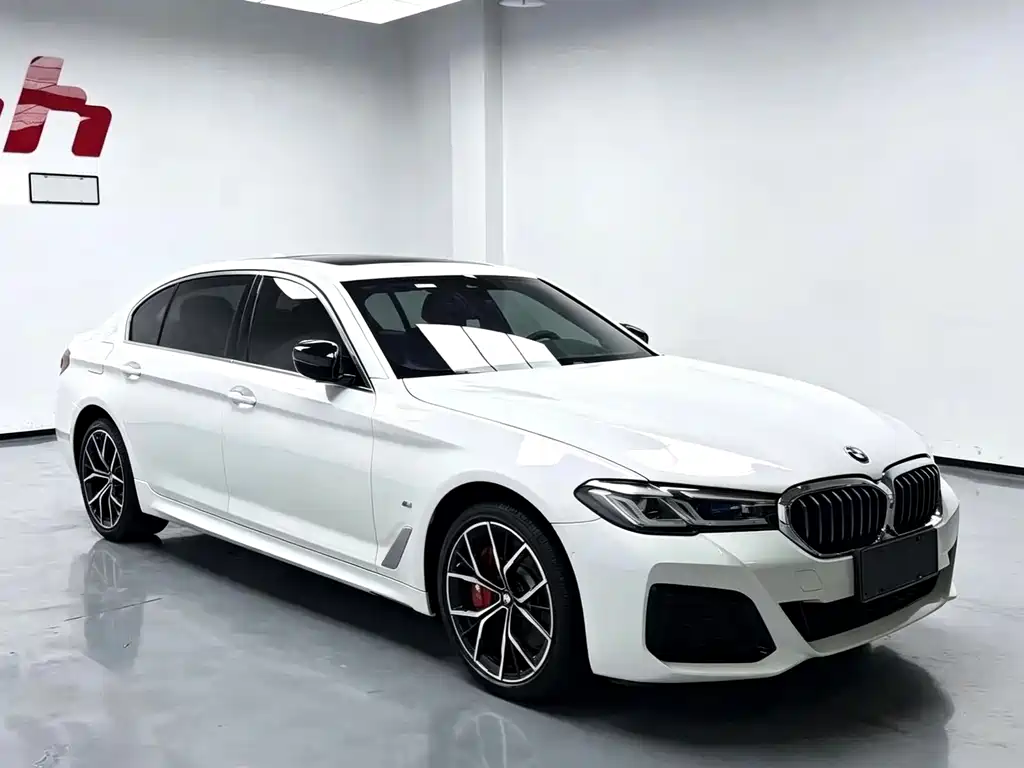 BMW 5 Series — миниатюра 3