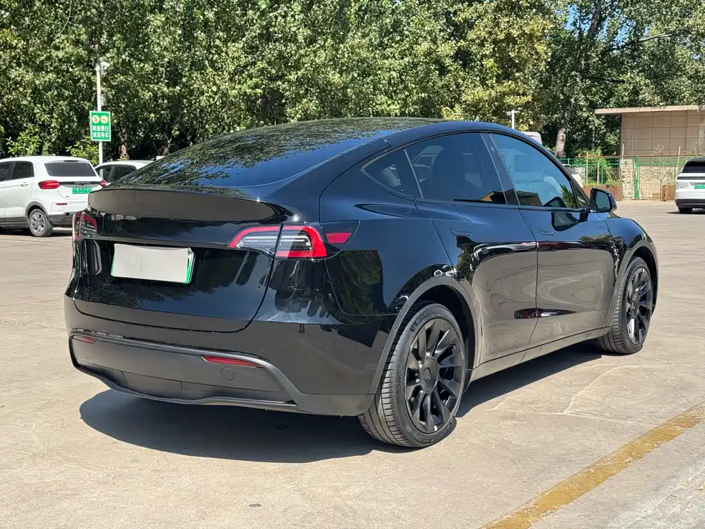 Tesla Model Y — миниатюра 13