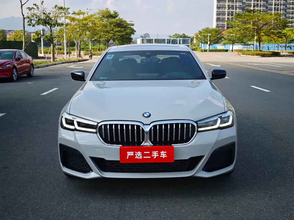 BMW 5 Series — миниатюра 3