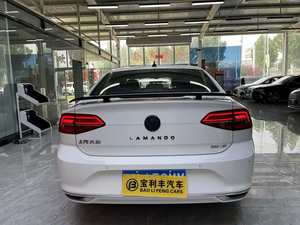 Volkswagen Lamando — миниатюра 6