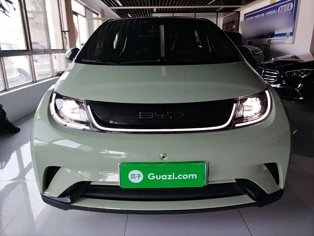 BYD Dolphin — миниатюра 3