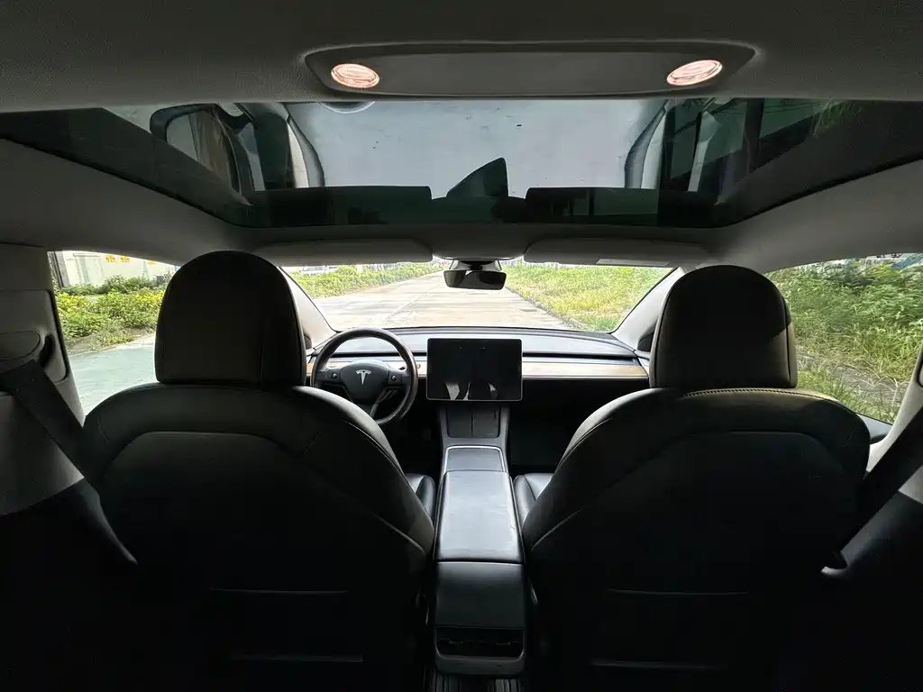 Tesla Model 3 — миниатюра 14