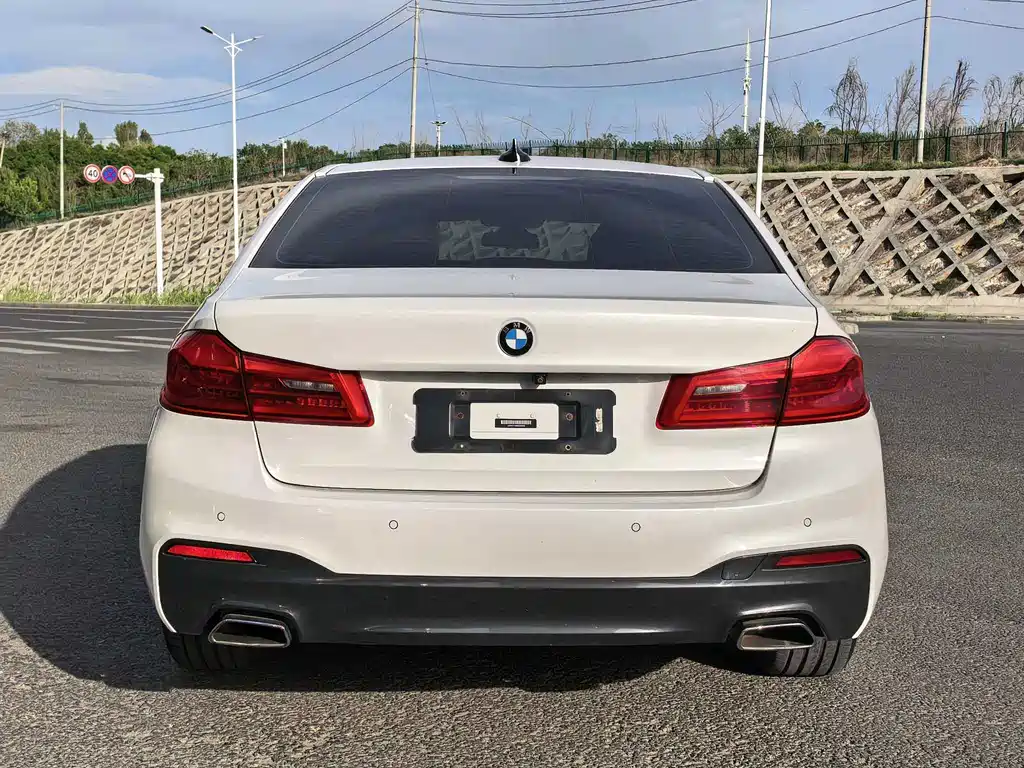 BMW 5 Series 5 2019 525Li M Sport