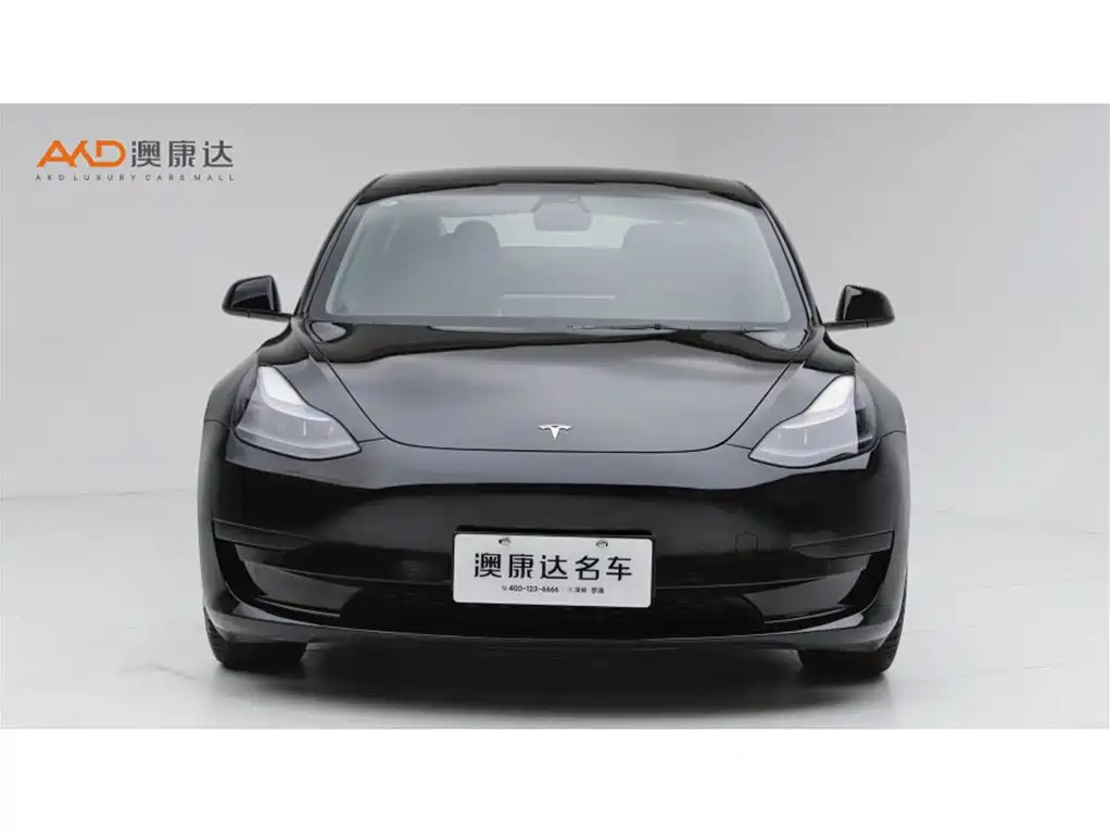 Tesla Model 3 — миниатюра 2