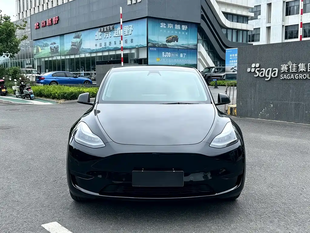 Tesla Model Y — миниатюра 2