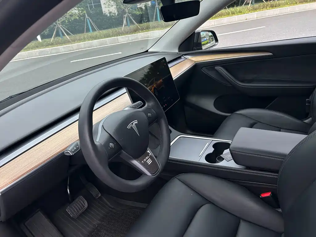 Tesla Model Y — миниатюра 5