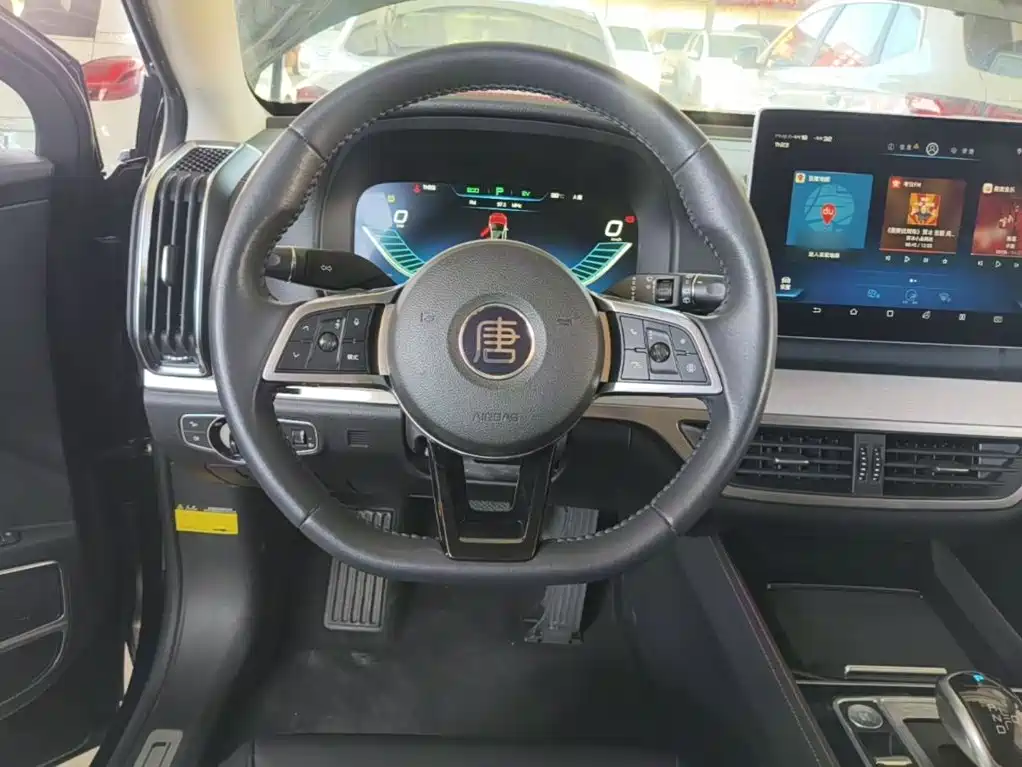 BYD Tang New Energy — миниатюра 11