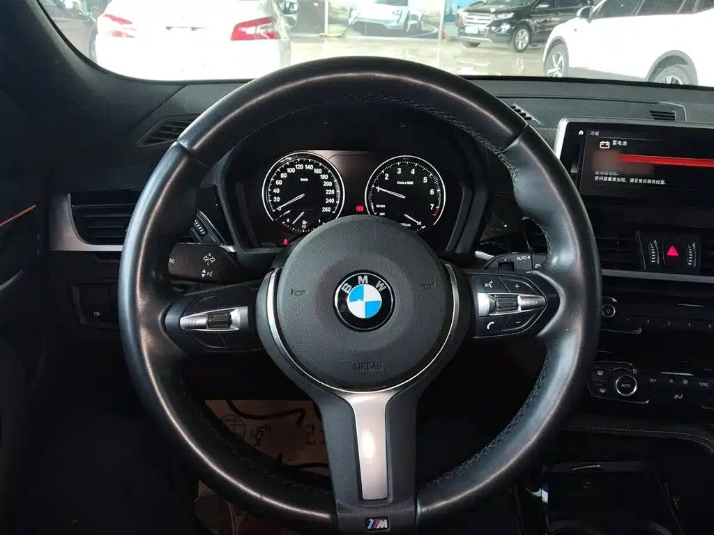 BMW X2 2020 sDrive25i Lead M