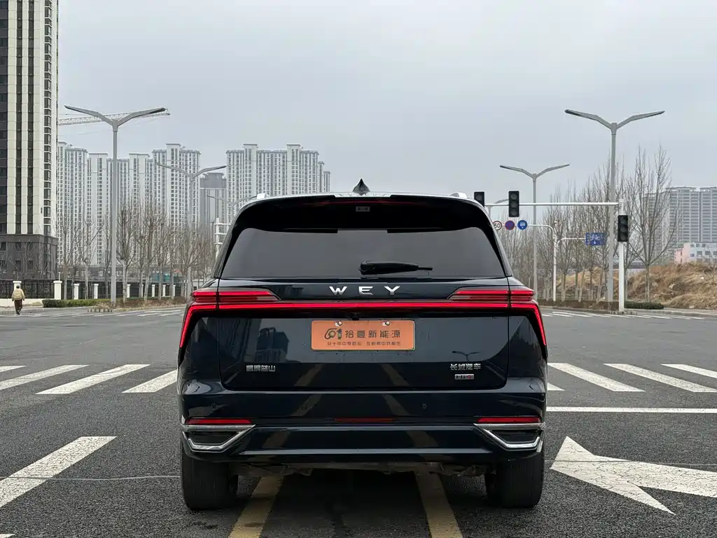 WEI PAI WEI BRAND BLUE MOUNTAIN