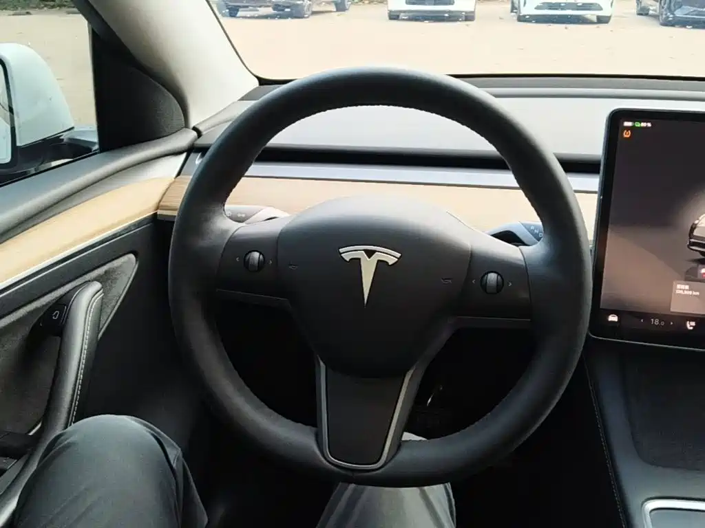 Tesla Model Y — миниатюра 11