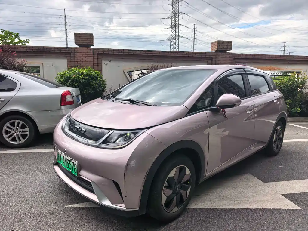 BYD Dolphin