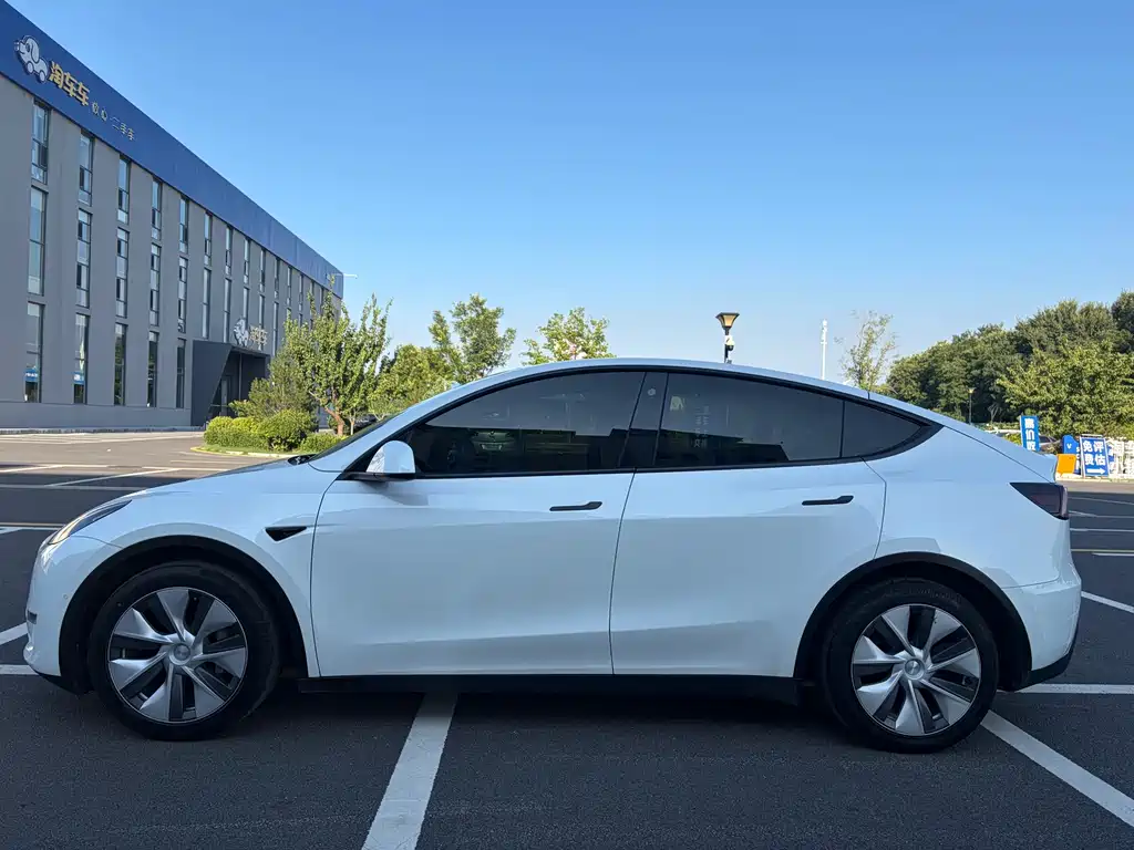 Tesla Model Y — миниатюра 3