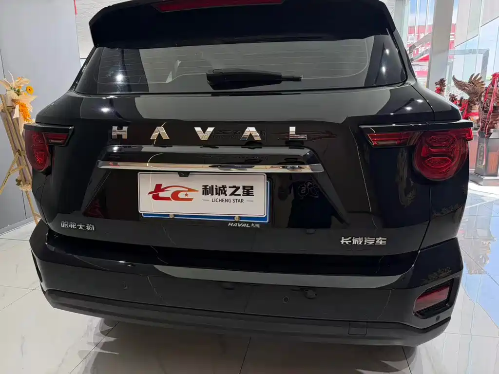 Haval Big Dog PLUS — миниатюра 10