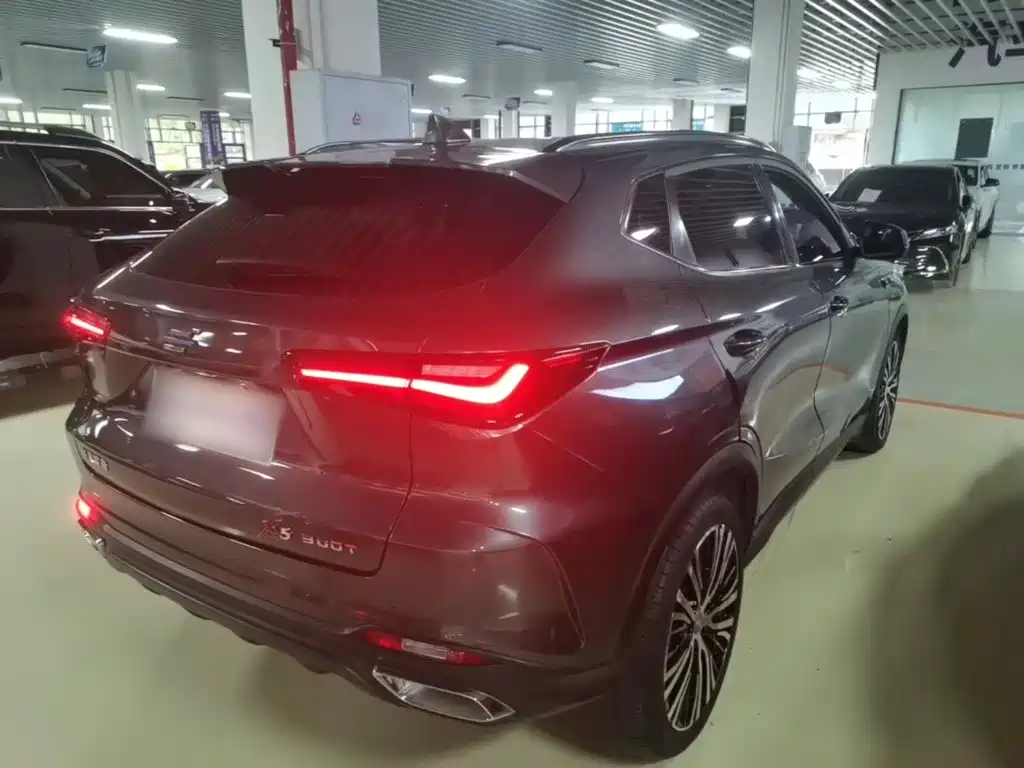 Oshan Oushang X5 — миниатюра 7