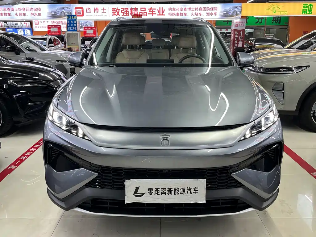 BYD Pro New Energy - фото 3