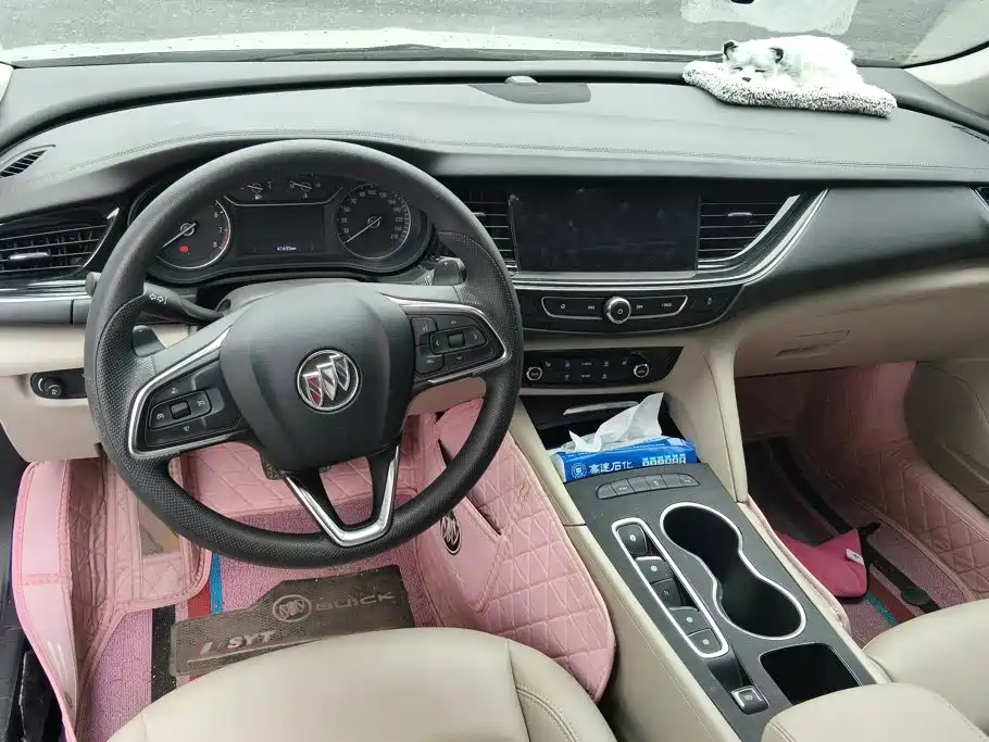 Buick Regal — миниатюра 12
