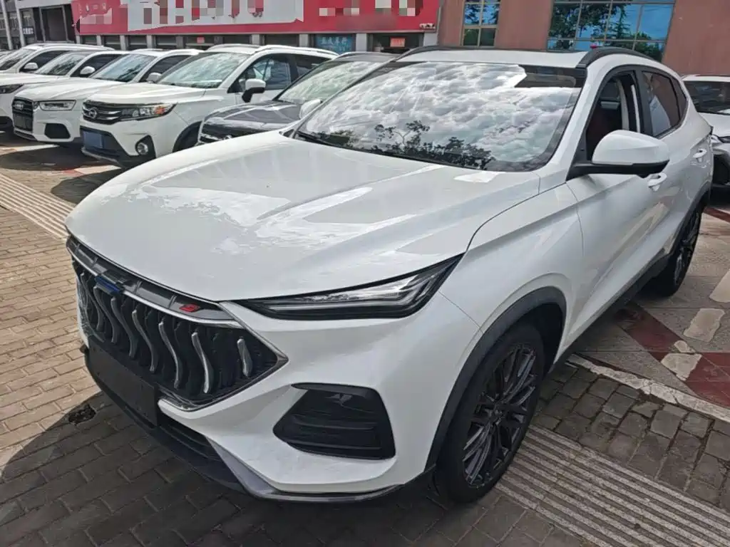 Oshan Oushang X5 — миниатюра 2
