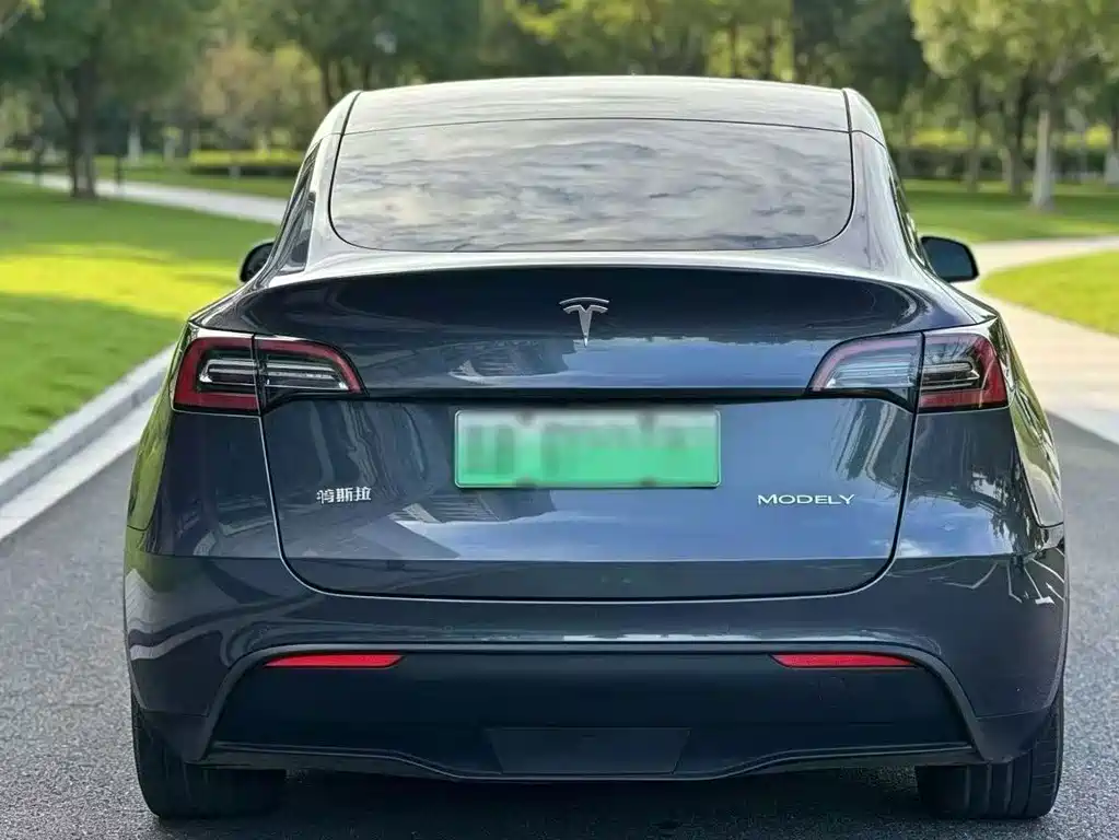Tesla Model Y — миниатюра 7