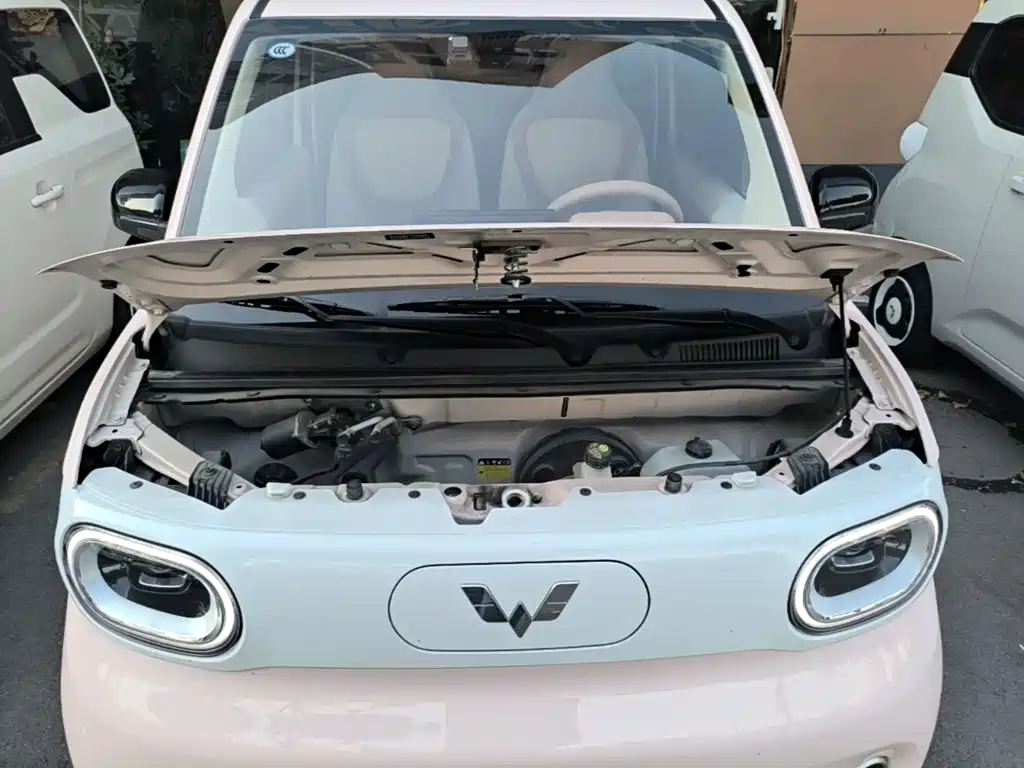 Wuling MINIEV — миниатюра 20