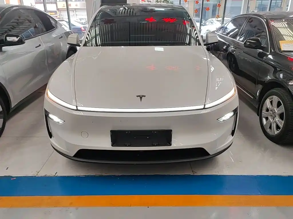 Tesla Model Y — миниатюра 3