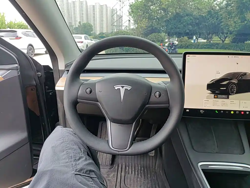 Tesla Model Y — миниатюра 11