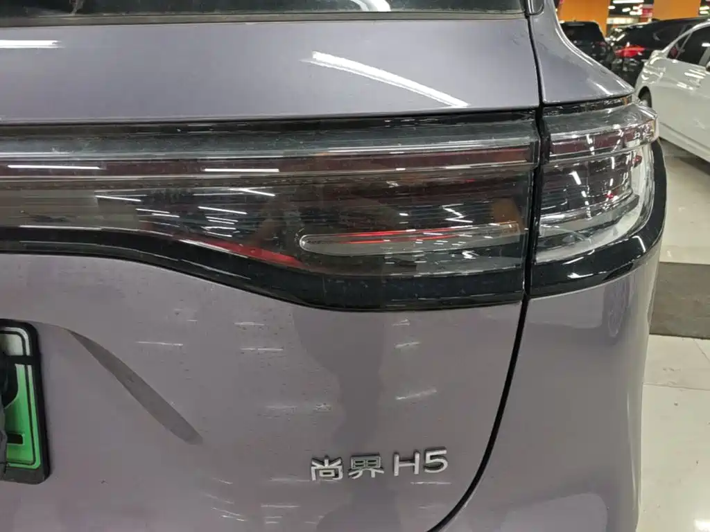 Сангтан Sangtang H5 — миниатюра 8