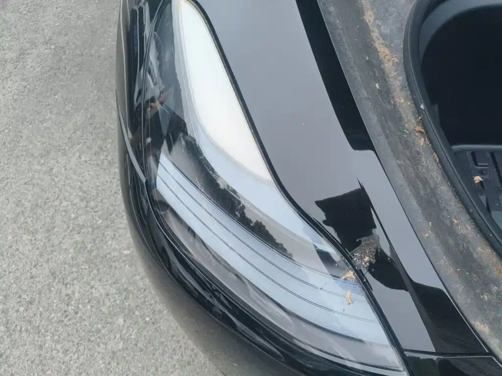 Tesla Model Y — миниатюра 20