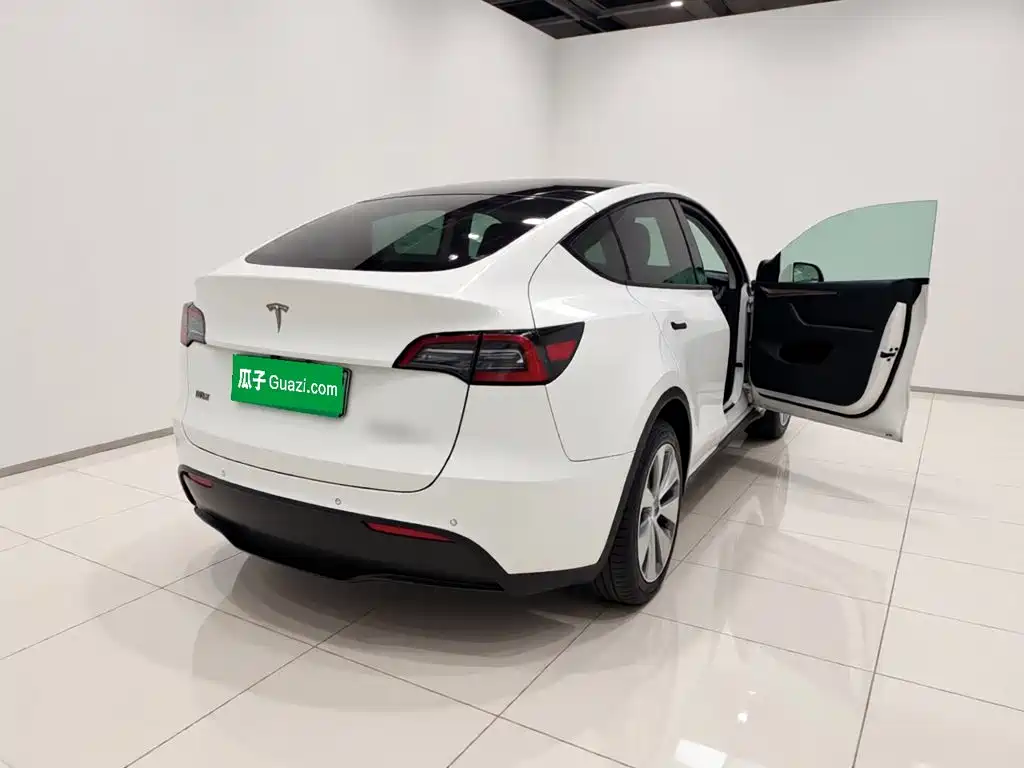 Tesla Model Y — миниатюра 6